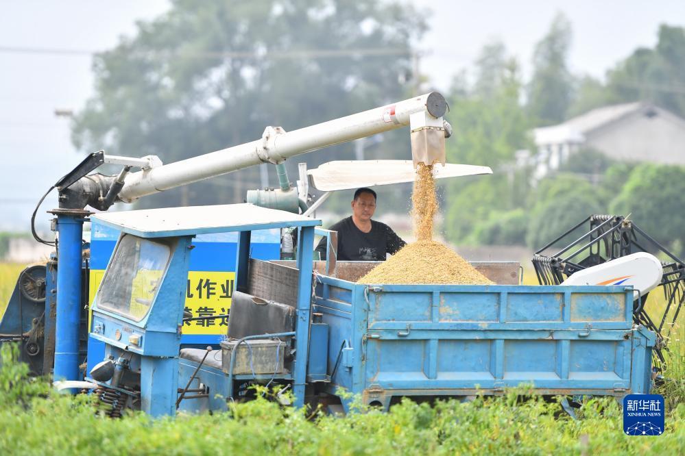 民间游戏官方娱乐
